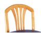 Backrest