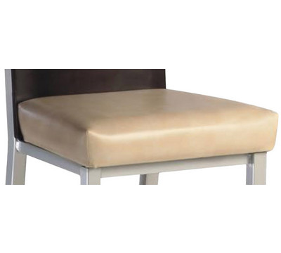 Cushion