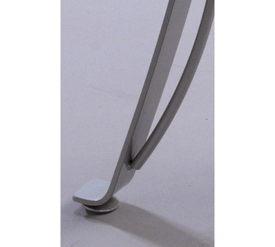 Leg