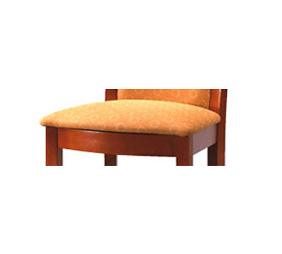 Cushion