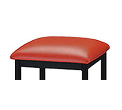 Cushion