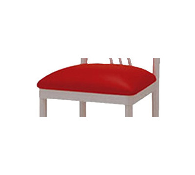 Cushion