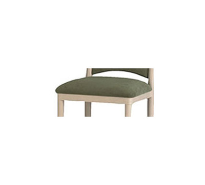 Cushion