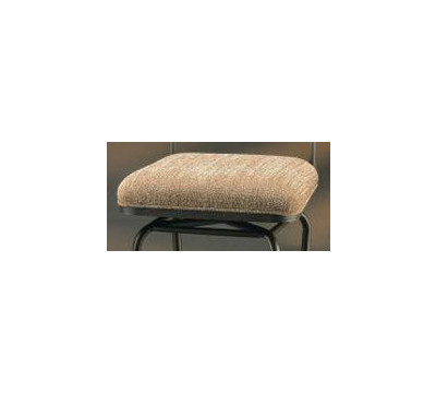 Cushion