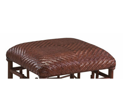 Cushion