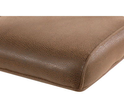 Cushion
