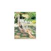 Save  on Rope Hammock Chair at The Hammock Superstore