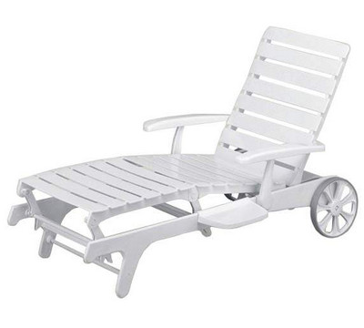 Kettler_Tiffany_Chaise_Lounge_Chaise_Lounge.jpg