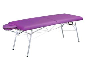 Astra-Lite Pulsar III Massage Table - FAST FedEx Shipping!