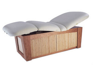 Touch America The Viola Professional Treatment Table