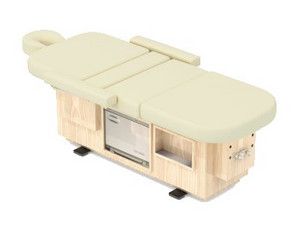 Touch America Golden Touch Classic - FREE Inside Delivery!