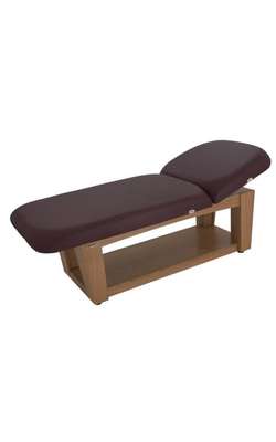 Touch-america-the-viola-professional-treatment-table 0 250x400.jpg