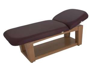 Touch America The Viola Professional Treatment Table - FREE Inside Delivery!