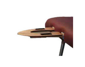 Astra-Lite Standard Head Cradle - Fast FREE FedEx Shipping!