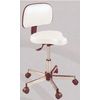 Pibbs Bike Seat Stool with Backrest - Fast FREE FedEx Shipping!