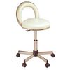 Pibbs JO JO Pnematic Stool with Backrest - Fast FREE FedEx Shipping!