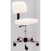 Pibbs Stool with Adjusting Backrest - Fast FREE FedEx Shipping!
