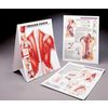 Pressure Positive Trigger Point Training Book - Fast FREE FedEx Shipping!