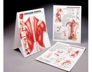 Pressure Positive Trigger Point Training Book - Fast FREE FedEx Shipping!