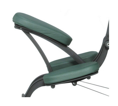 Smart Seat