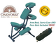 Massage Therapy Chairs 