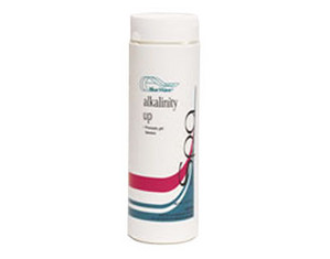 Blue Wave Alkalinity Up Balancer