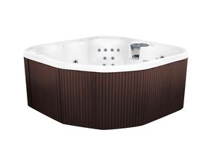 Lifesmart Plug n Play Series 5 Person Spa