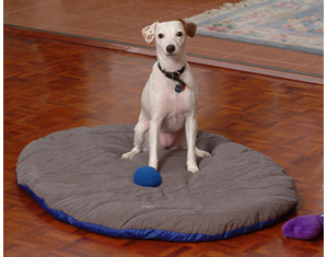 ABO Gear Pet Down Dog Bed