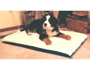 K & H Manufacturing Ortho Thermo Dog Bed - Large Size