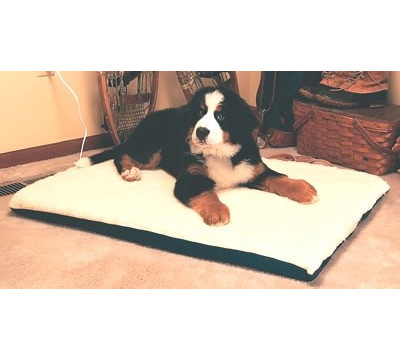 K_and_H_Manufacturing_Ortho_Thermo_Dog_Bed___Large_Size_Dog_Bed.jpg