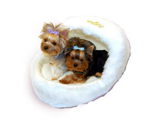 Pawsitively Posh Slipper Bed and Crinkle Newspaper Toy Dog Bed - Fast FREE FedEx Shipping!