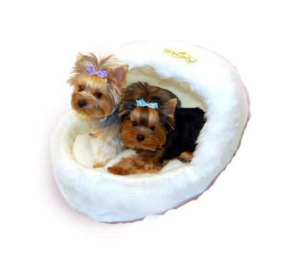 Pawsitively_Posh_Slipper_Bed_and_Crinkle_Newspaper_Toy_Dog_Bed_alt_1.jpg