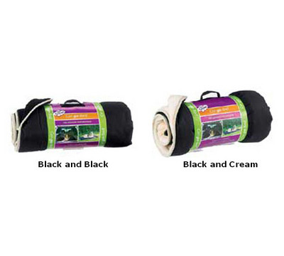 Available Colors