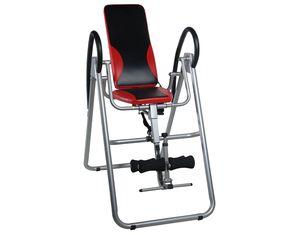 Stamina Seated Inversion