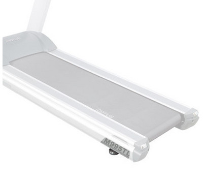 Shock Absorption