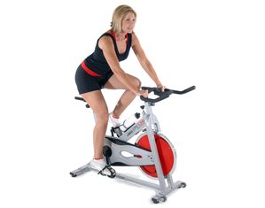 Stamina CPS 9200 Indoor Cycle