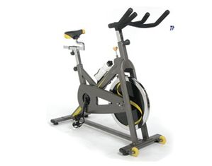 Stamina CPS 9300 Indoor Cycle