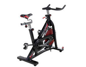 Proform 290 SPX Indoor Cycling Bike