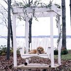 Classic  Porch Swings