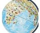 Globe View