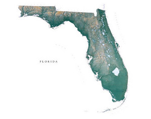 Raven Maps & Images Florida Wall Map