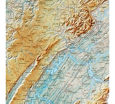 Close Up View 2