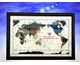 Wall Maps 