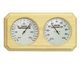Thermometer and Hygrometer