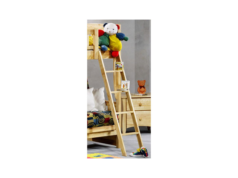 Ladder