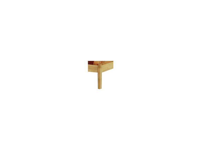 Leg