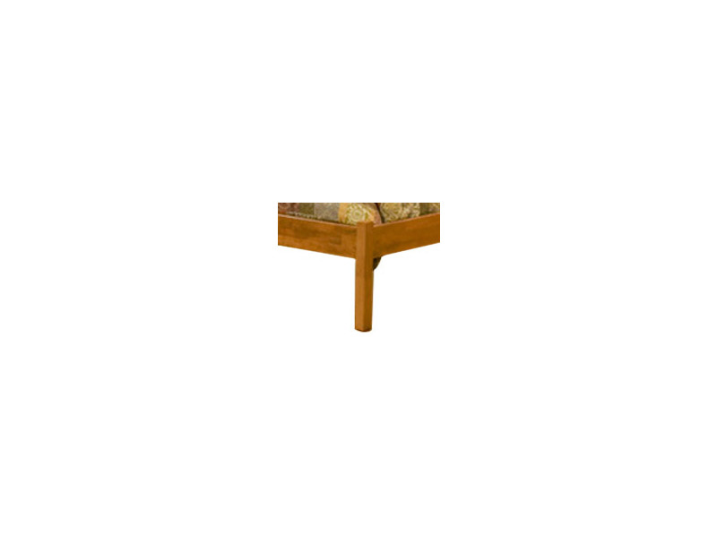 Leg
