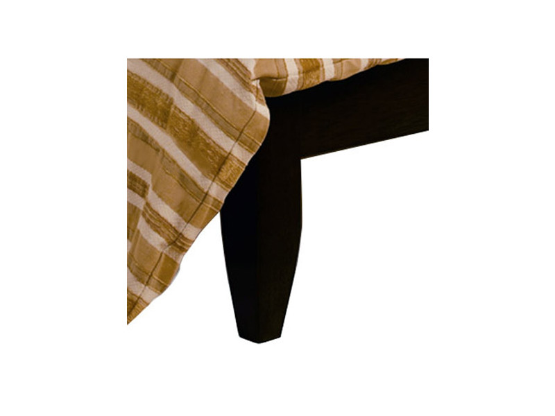 Leg