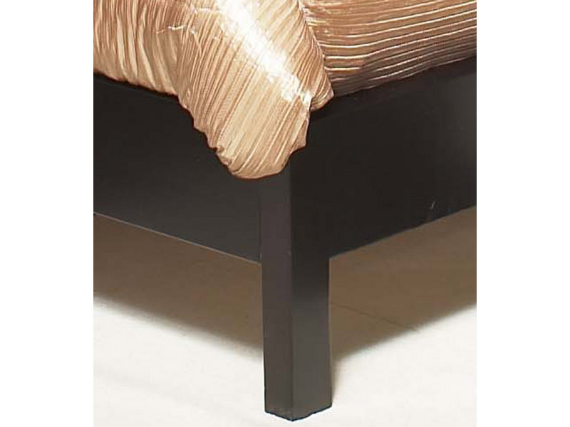 Leg