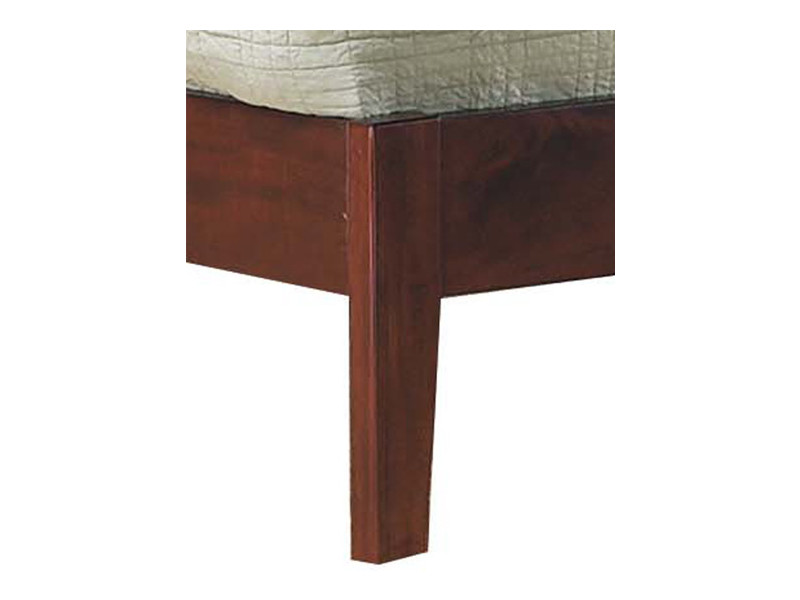 Leg